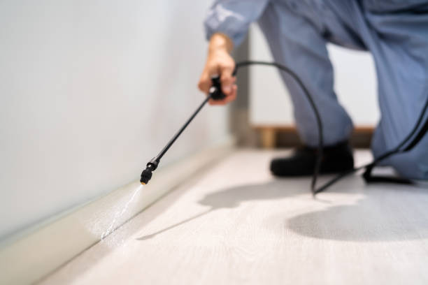 Rodent Entry Point Assessment in East Bakersfield