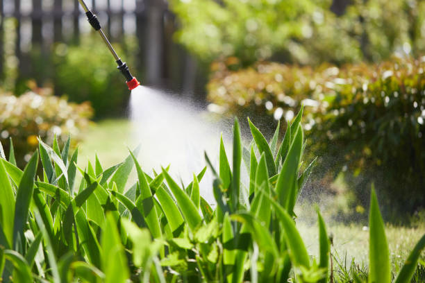 Tamper-Resistant Bait Stations for Rodents in East Bakersfield