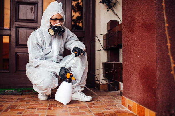 Attic and Crawl Space Rodent Treatment in East Bakersfield